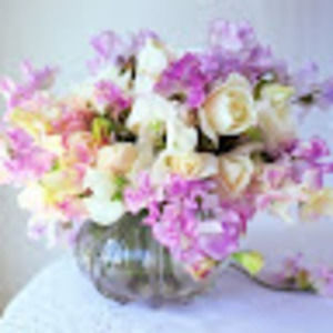 Meet your Posher, Sweetpea